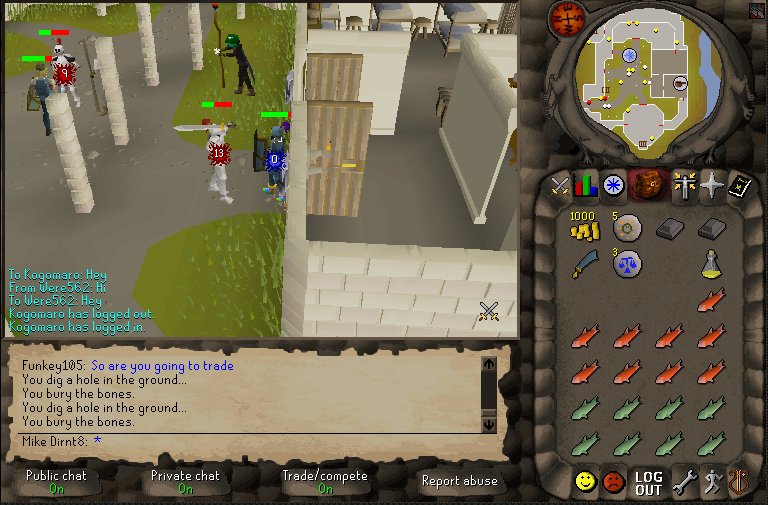 mikehit13.jpg